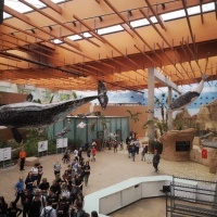 ZOO Wrocław