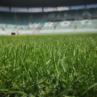 Stadion Miejski