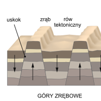 Wykorzystanie aktywizujących form nauczania drogą do sukcesu ucznia. (1)