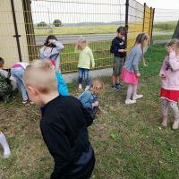 Wrzesień/przedszkole  2020 (7)