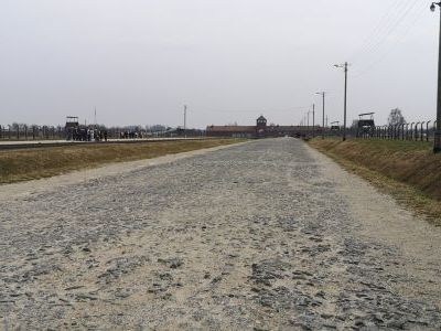Auschwitz Birkenau (15)