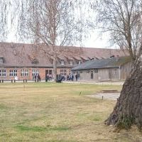Auschwitz Birkenau (1)