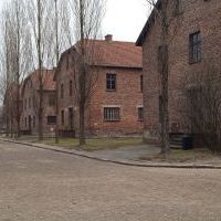 Auschwitz Birkenau (2)