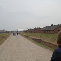 Auschwitz Birkenau (3)