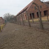 Auschwitz Birkenau (4)