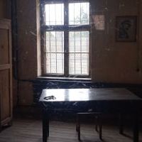 Auschwitz Birkenau (5)