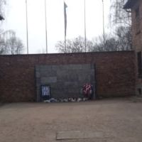 Auschwitz Birkenau (8)