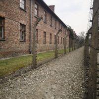 Auschwitz Birkenau (12)