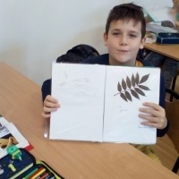 Zielniki drzew (6)