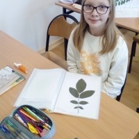 Zielniki drzew (7)