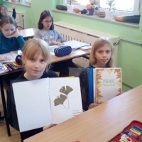 Zielniki drzew (11)